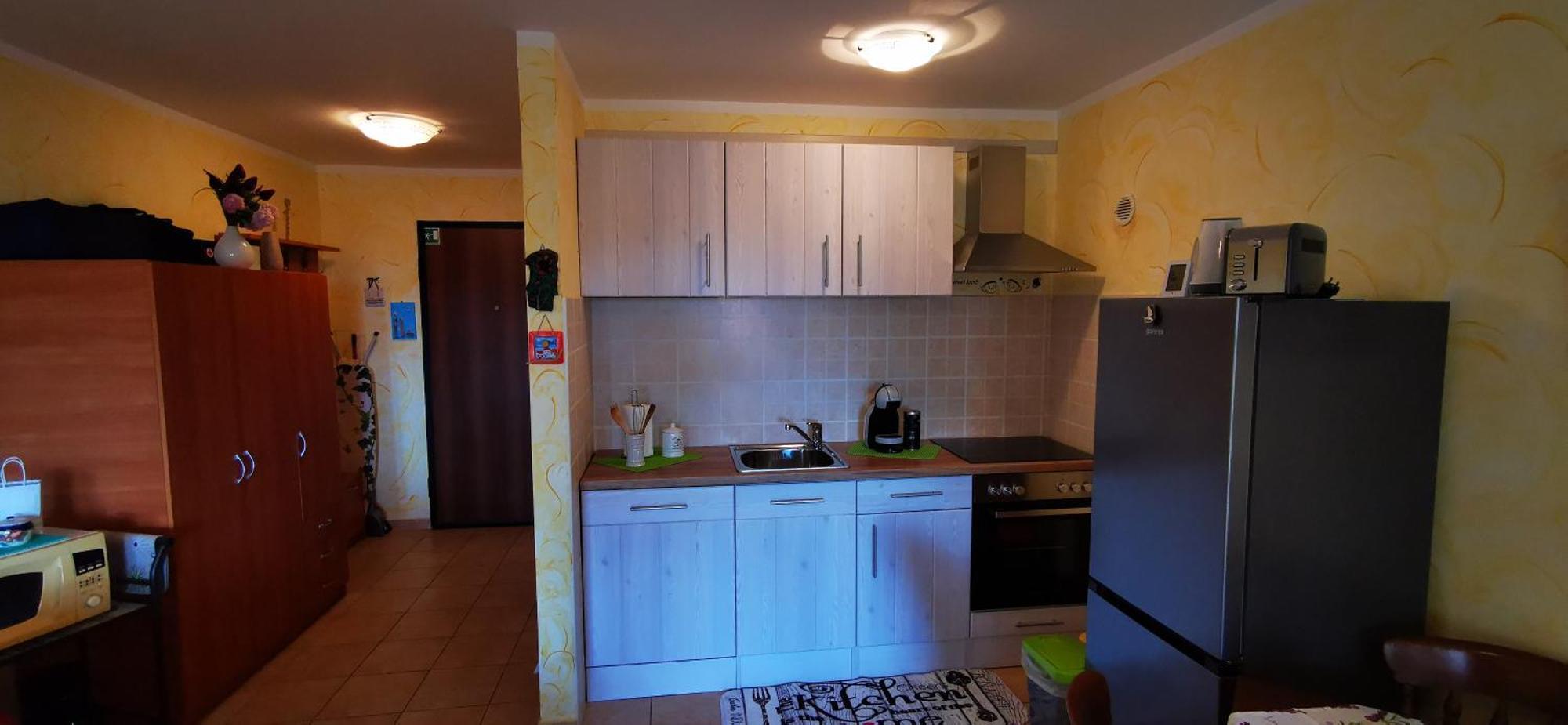 Studio Apartment Lela Ližnjan Εξωτερικό φωτογραφία